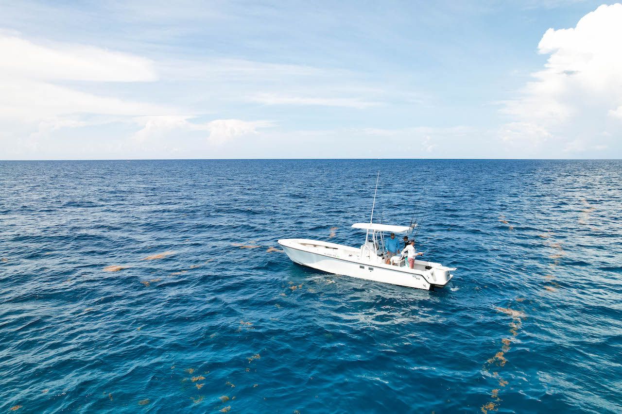 Top Fly Fishing Destinations Top 10 Fly Fishing Destinations in the US