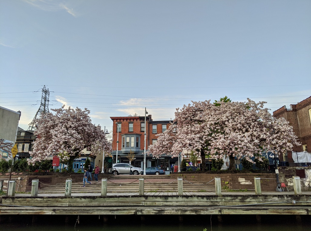 Manayunk Philadelphia PA Guide ApartmentAdvisor