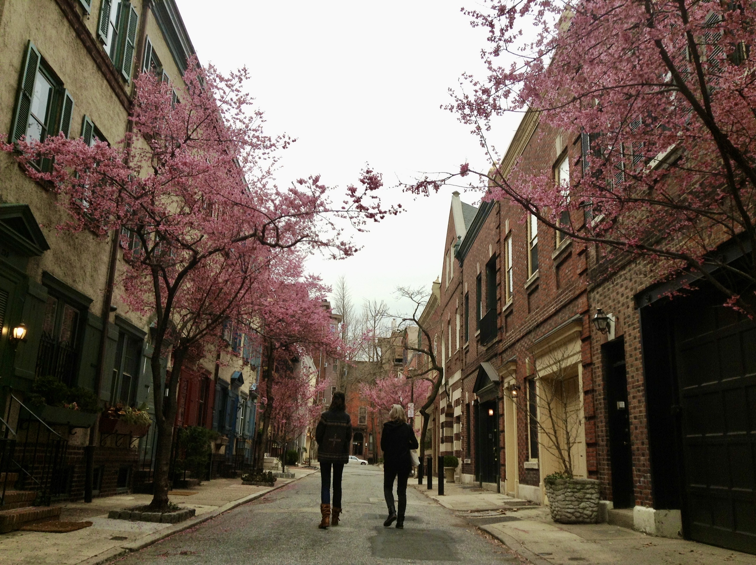 Fitler Square Philadelphia PA Guide ApartmentAdvisor