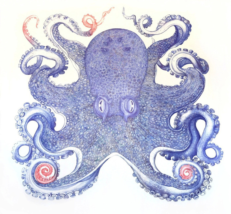 Artist Draws an Amazing Blue Octopus Using Discarded Ballpoint Pens