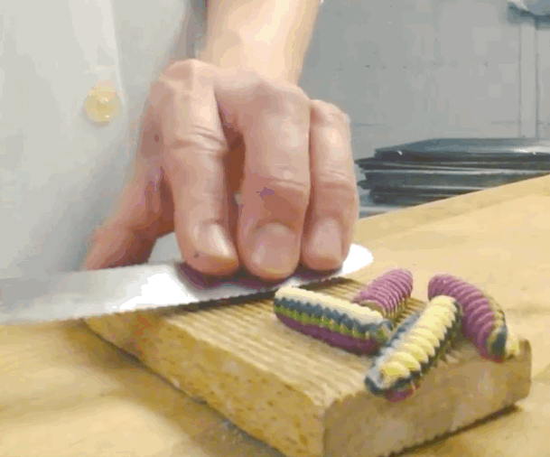 The Mesmerizing Art of Hand Making Pasta! artFido