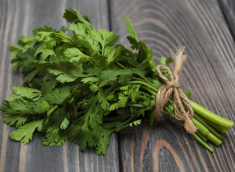 Cilantro Or Coriander? What's The Difference & Why Is It Important