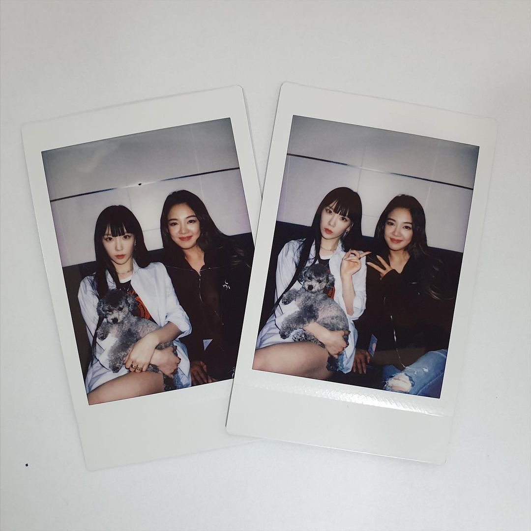 Girls' Generation Image 248455 Asiachan KPOP Image Board