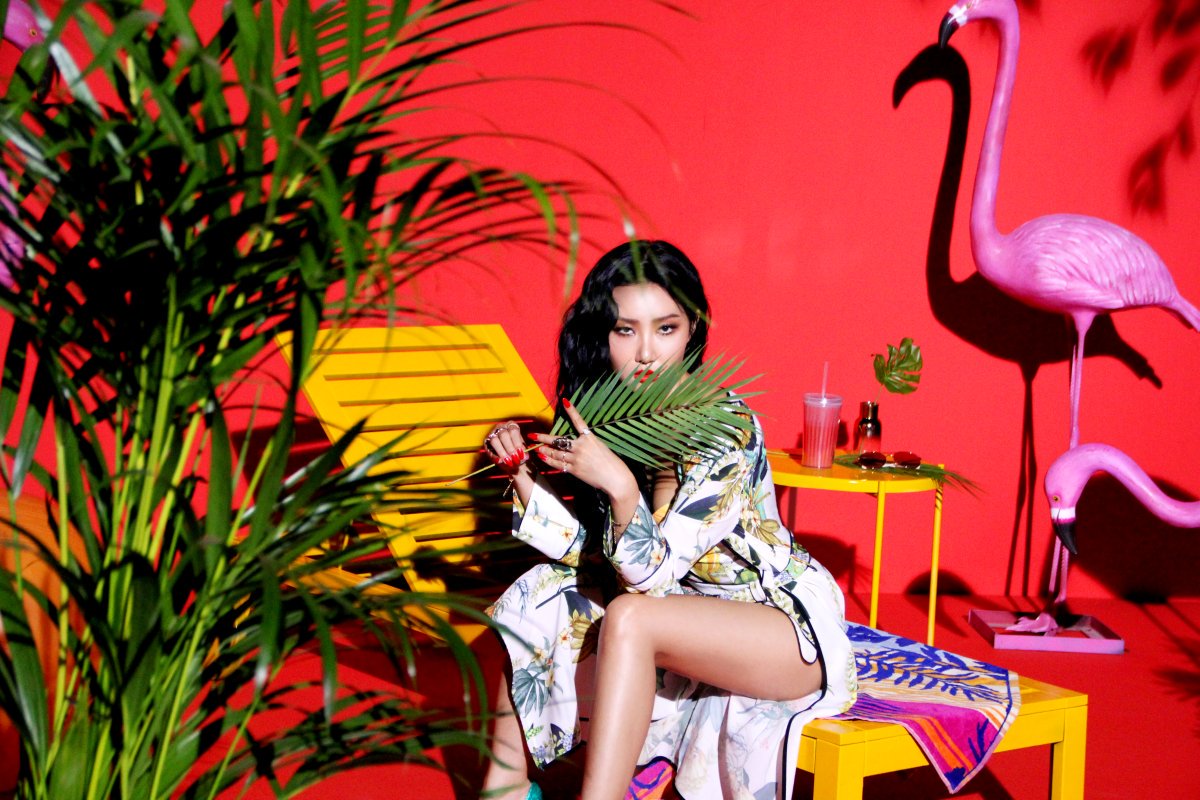 Hwasa Image 152518 Asiachan KPOP Image Board