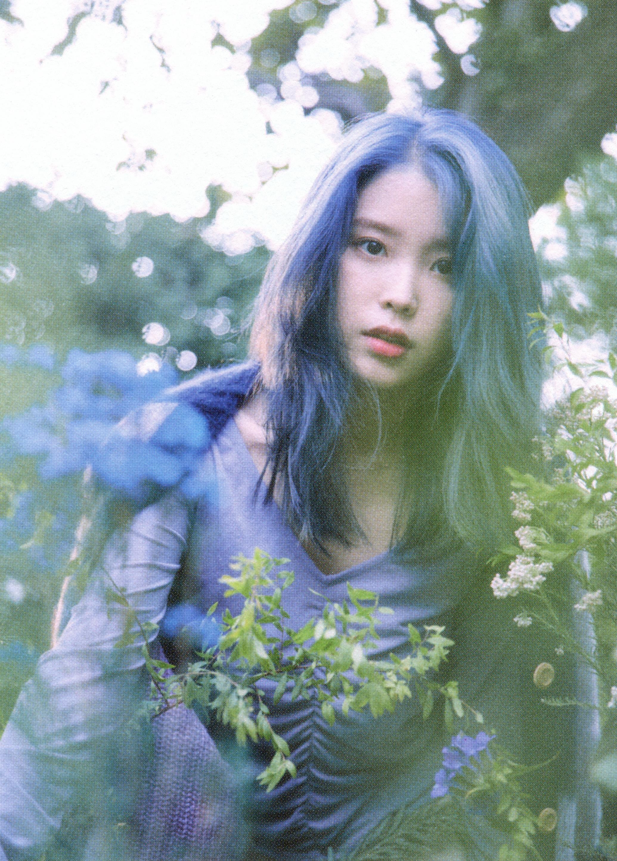 IU Image 380277 Asiachan KPOP Image Board