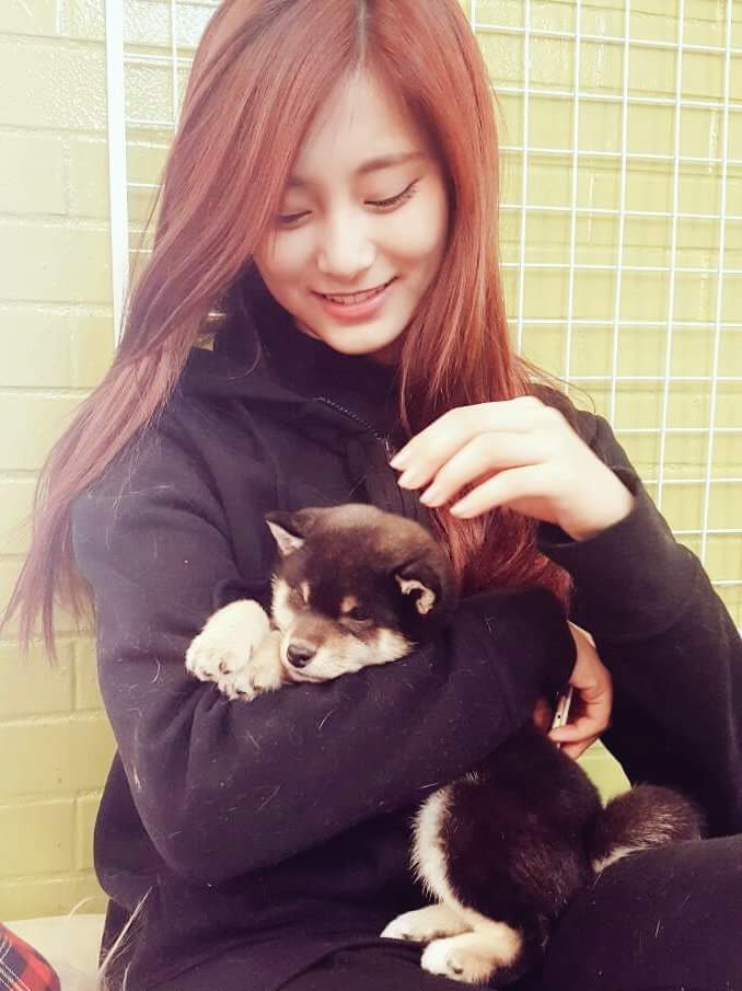 Tzuyu Twice page 51 of 116 Asiachan KPOP Image Board