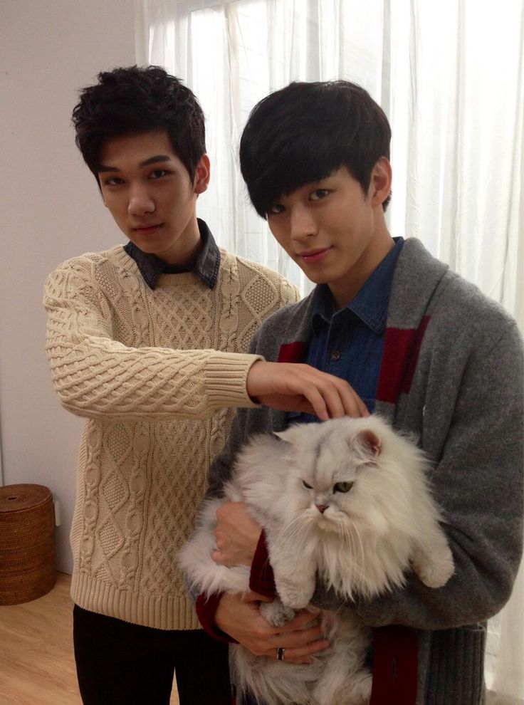 VIXX Image 8569 Asiachan KPOP Image Board