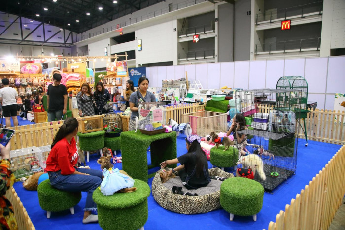 Funfilled pet expo comes to Impact Arena