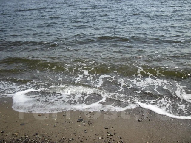 Домик у моря в Безверхово Приморский край