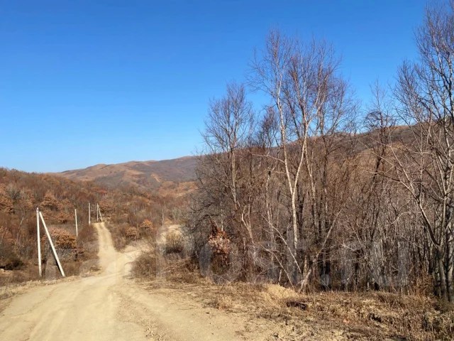 Продам земельный участок в Андреевке, c. Рисовая Падь, Хасанский район