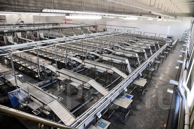 Рыбообработчик на береговой завод (с проживанием), работа в ООО Русский