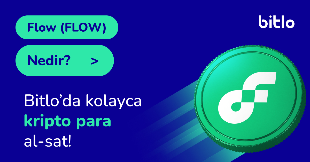 Flow (FLOW) Nedir? Her şeyiyle Flow [Rehber]