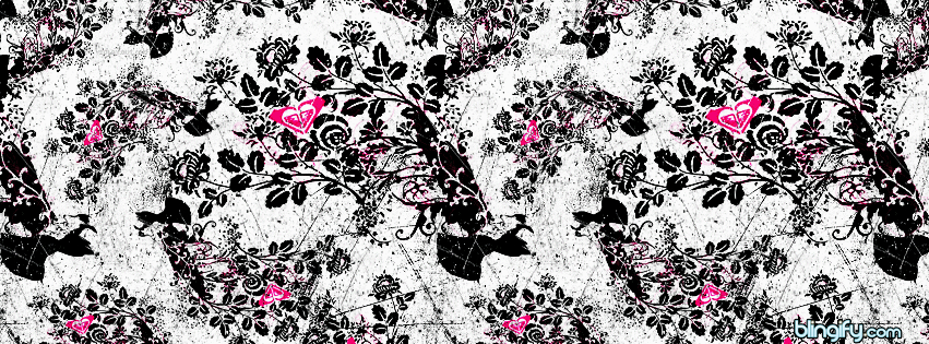 Vintage Facebook Covers