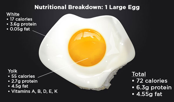 BodySpec The Amazing Egg
