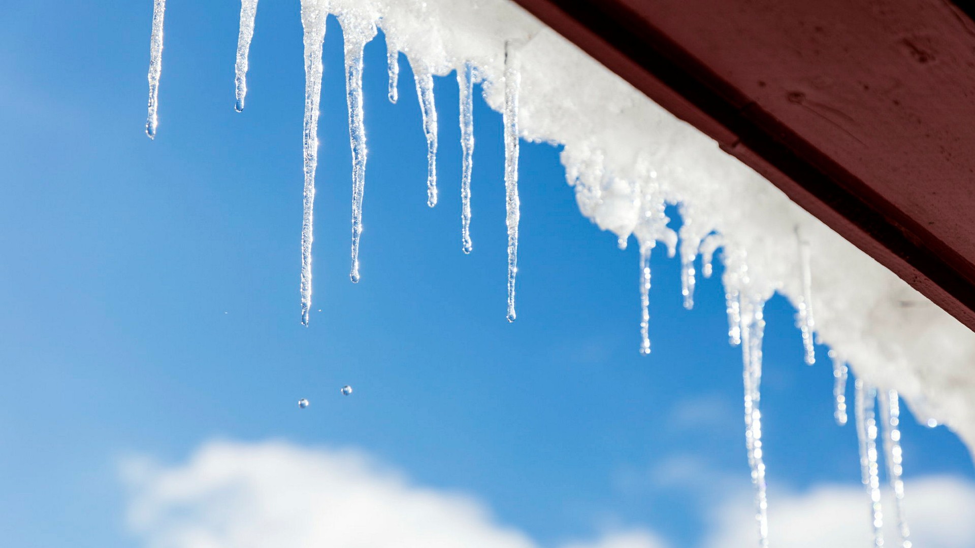 Fluffaktor och fikasnö – bli väderexpert med SMHI:s ordlista