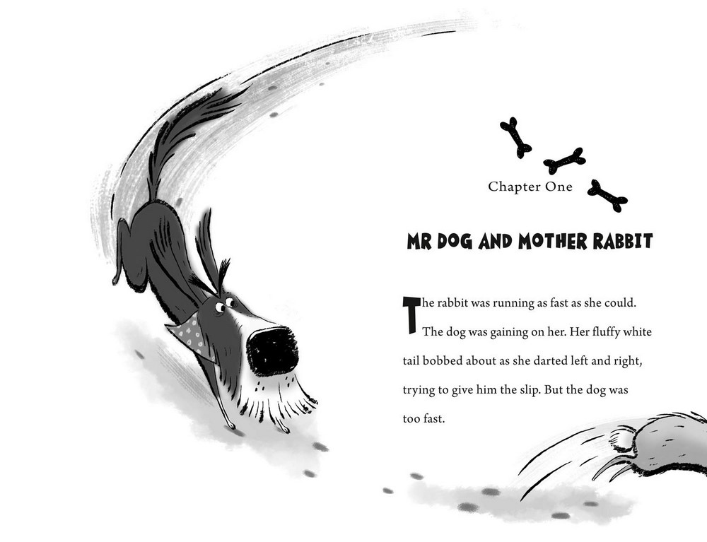 Mr Dog And The Rabbit Habit, Mr Dog Book 1 by Ben Fogle