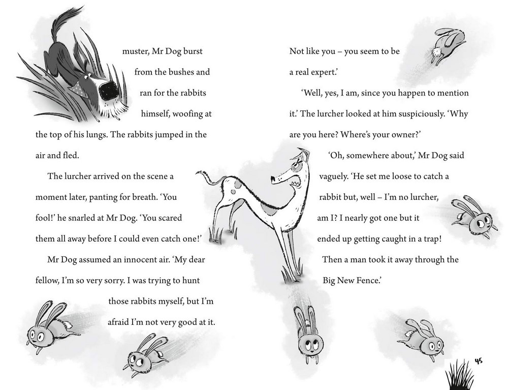 Mr Dog And The Rabbit Habit, Mr Dog Book 1 by Ben Fogle