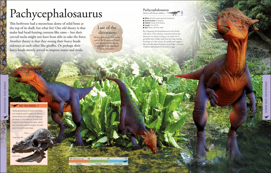 Dinosaurs A Children's Encyclopedia by DK 9780241287323 Booktopia