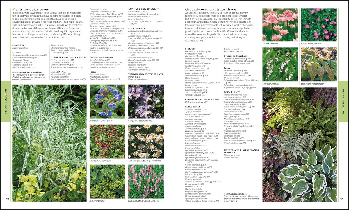 RHS Encyclopedia of Plants and Flowers by DK 9780241343265 Booktopia
