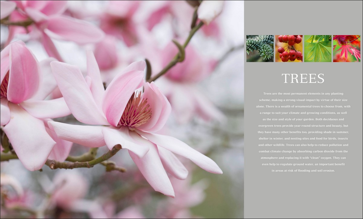 RHS Encyclopedia of Plants and Flowers by DK 9780241343265 Booktopia