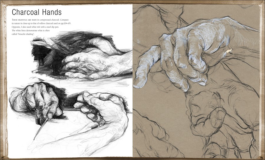 Drawing for the Artist by Sarah Simblet An Innovative, Practical