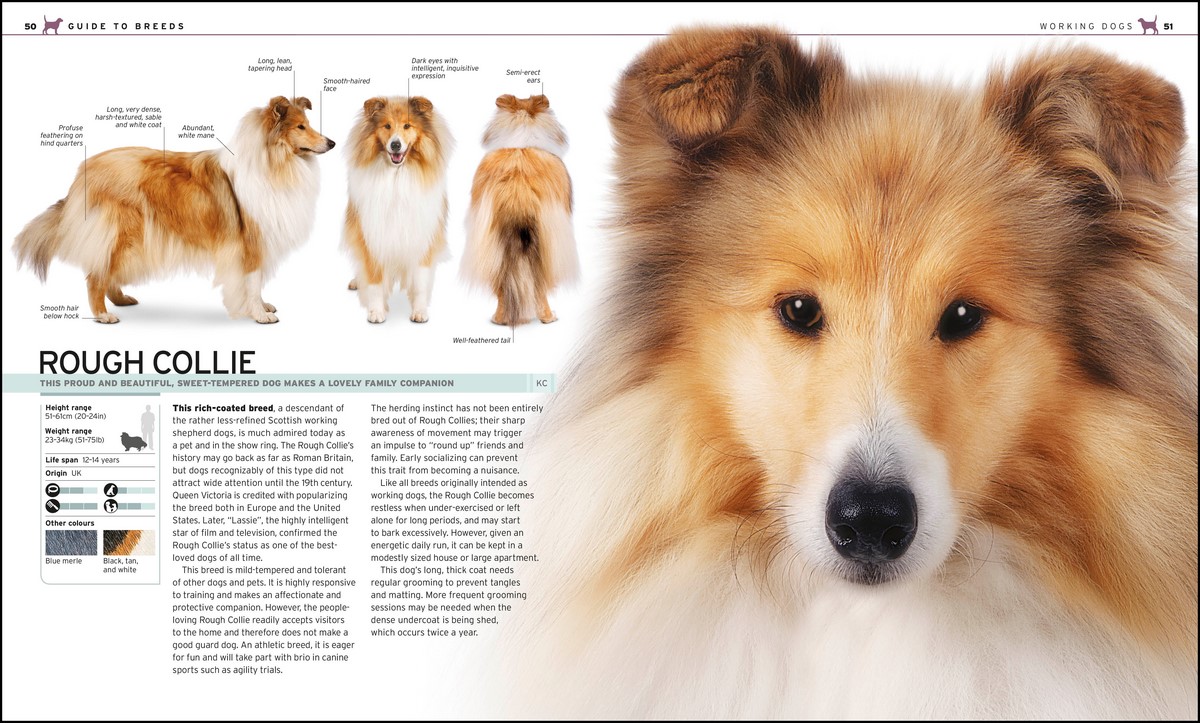 The Complete Dog Breed Book, Choose the Perfect Dog For You by DK 9780241412732 Booktopia