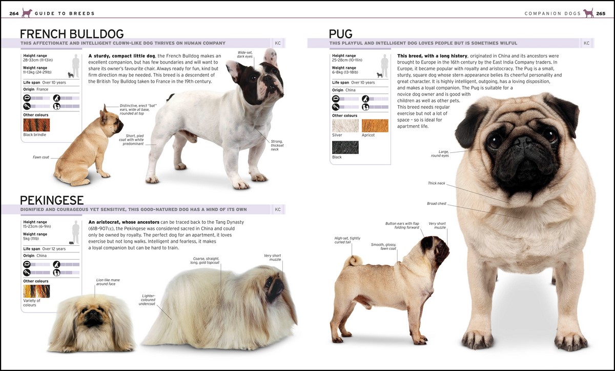 The Complete Dog Breed Book, Choose the Perfect Dog For You by DK