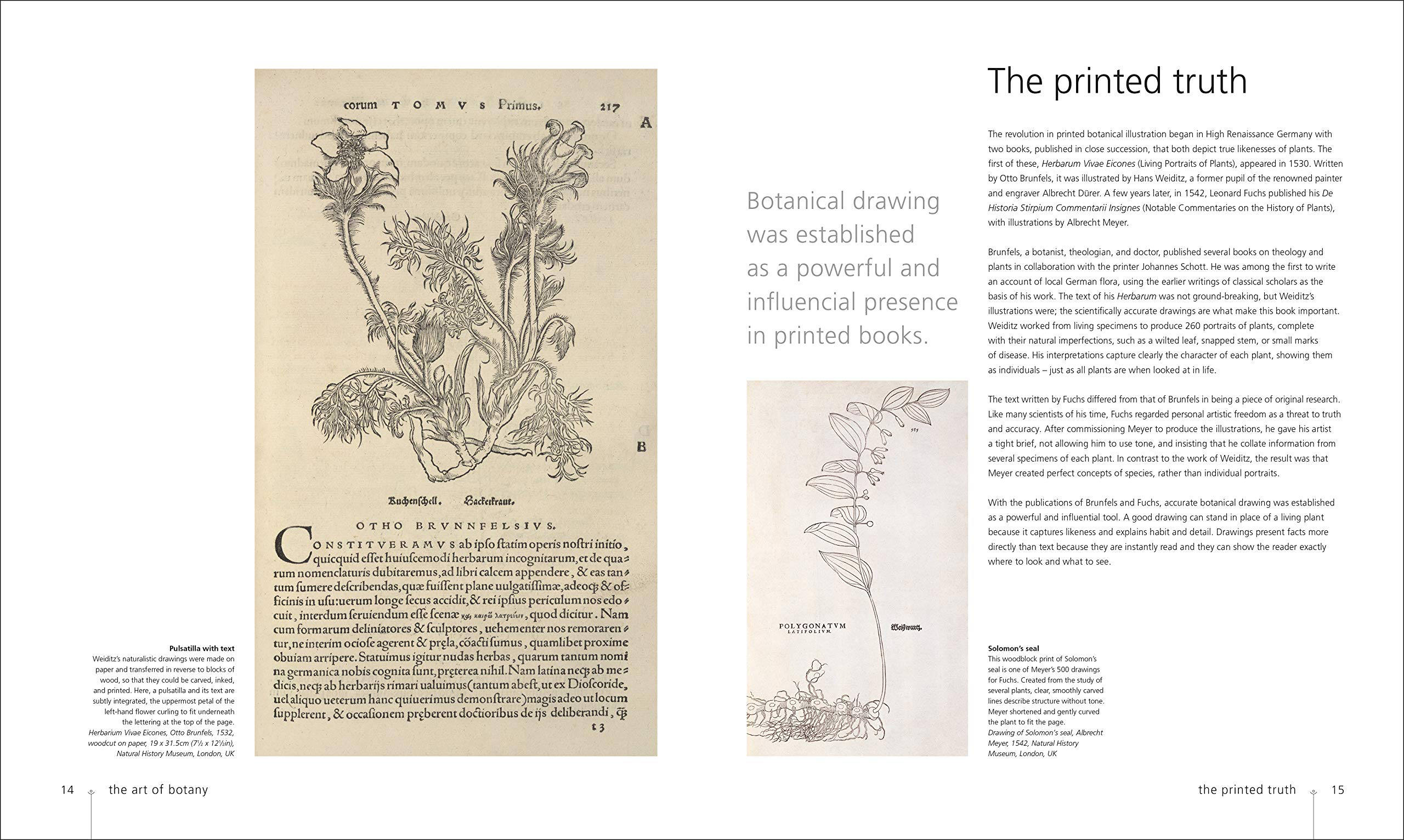 Botany for the Artist, An Inspirational Guide to Drawing Plants by