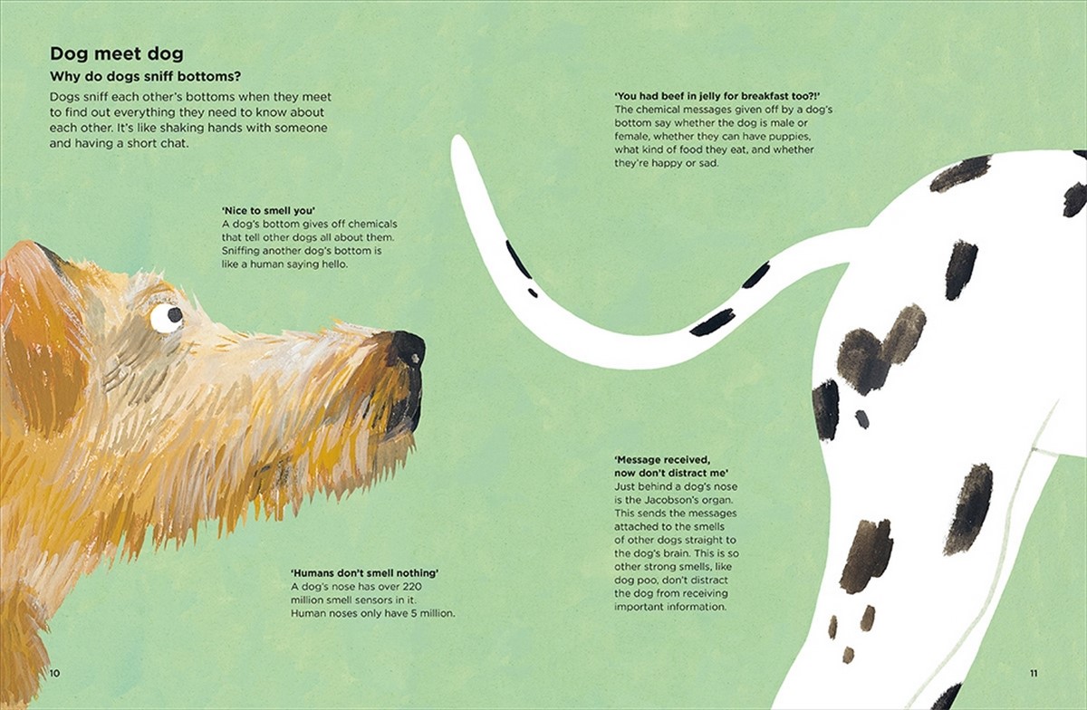Why do dogs sniff bottoms?, Curious questions about your favourite pet
