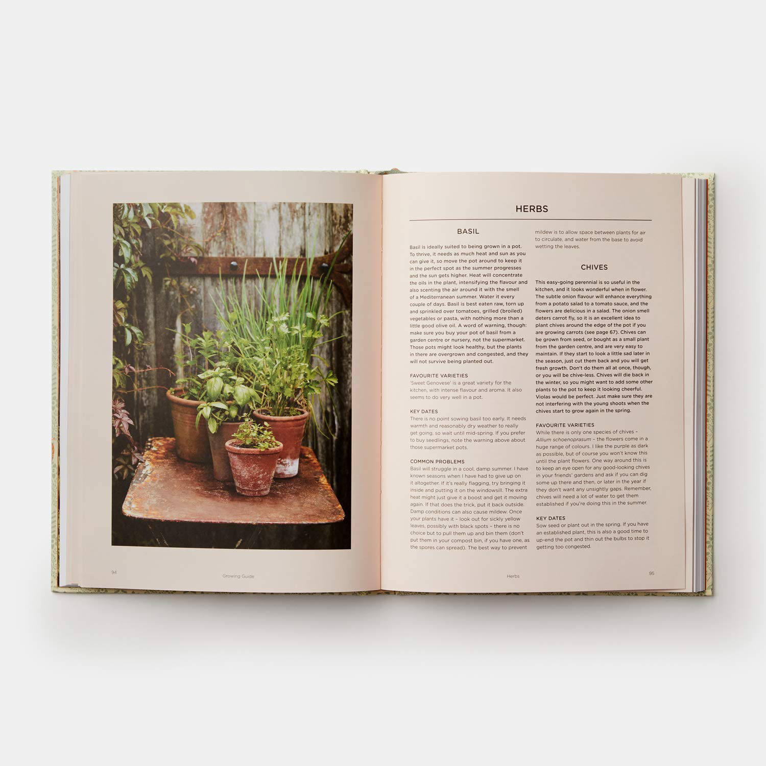 Grow Fruit and Vegetables in Pots, Planting Advice and Recipes from Great Dixter by Aaron