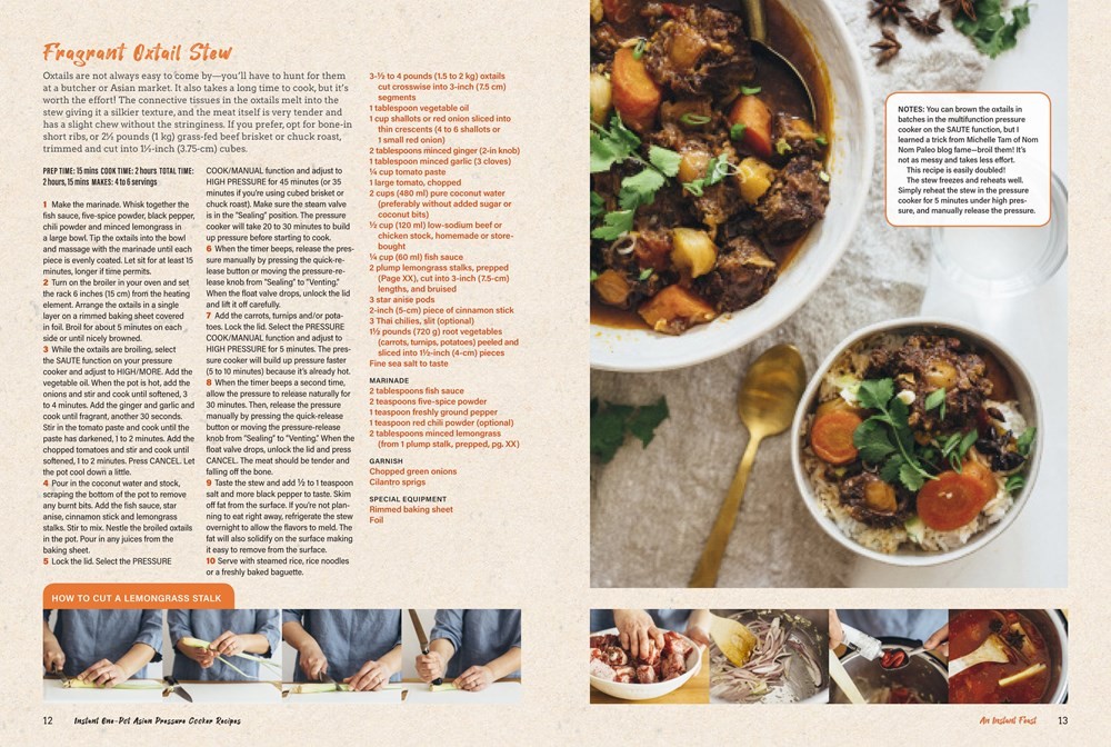 Instant Pot Asian Pressure Cooker Meals, Fast, Fresh & Affordable