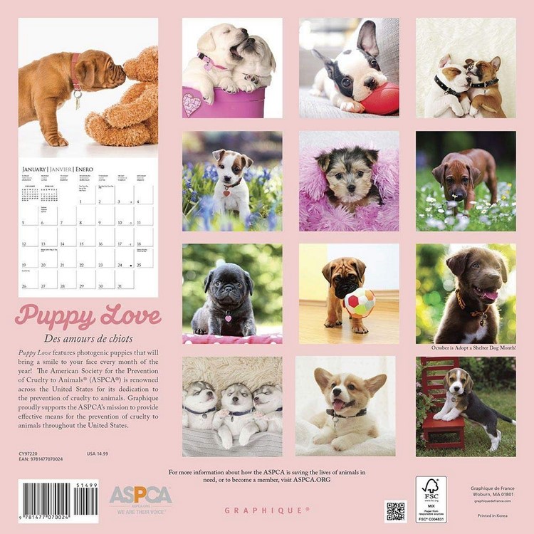 Puppy Love Aspca - 2020 Wall Calendar By Graphique De France | 9781477070024 | Booktopia