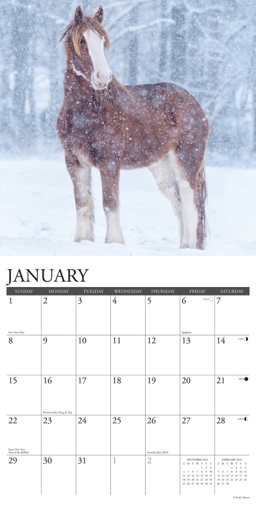 mlp calendar 2023 Clydesdales 2023 Wall Calendar by Willow Creek Press 9781549225536