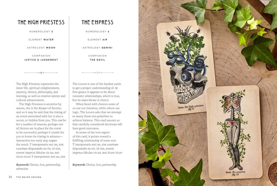 The Modern Tarot Reader, Includes Essential Handbook and Beautiful