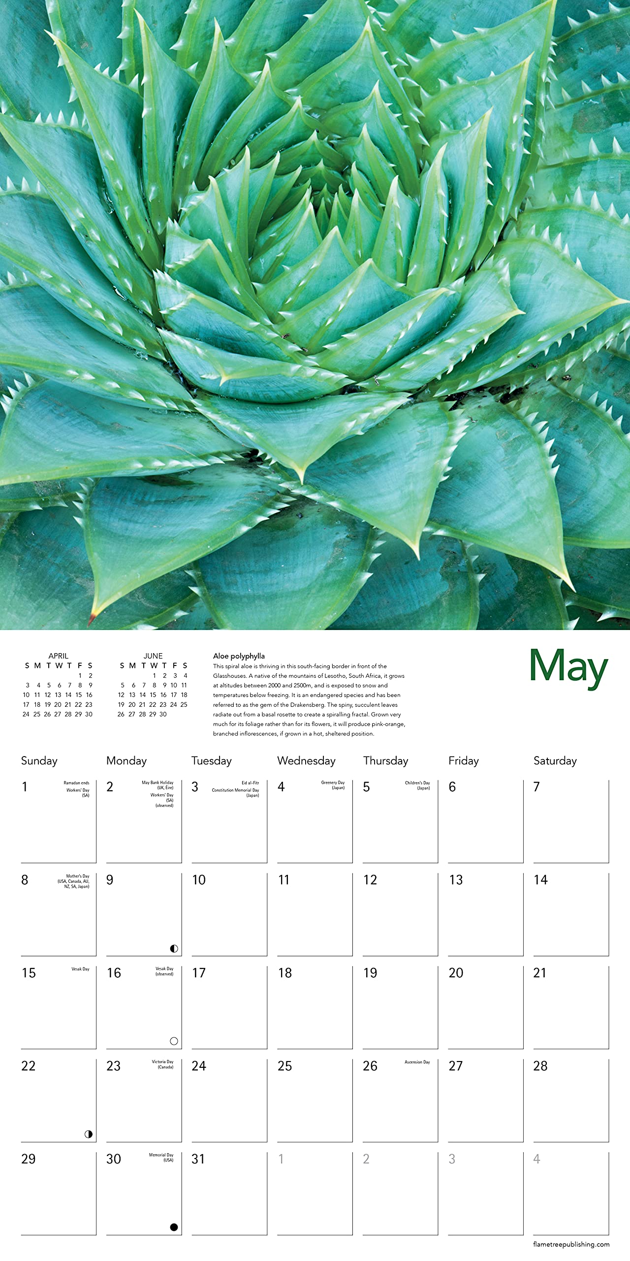 Cambridge University Botanic Garden 2022 Wall Calendar (Art Calendar