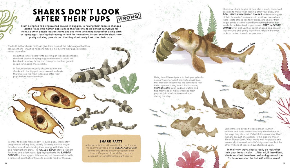 Everything You Know About Sharks is Wrong by Dr Nick Crumpton