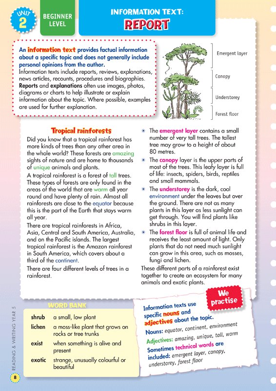 Naplan*style Reading and Writing Year 5, Back to Basics by Jane