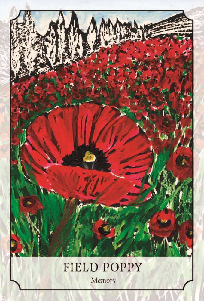 Booktopia Flower Reading Cards, Discover the Language of Nature by