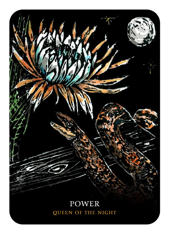 Flowers of the Night Oracle, Rockpool Oracle Card by Cheralyn Darcey