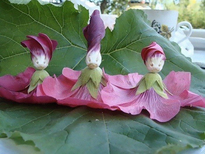 Share Flowers That Look Like Something Else Bored Panda