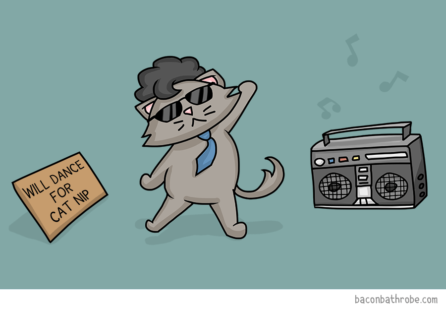 Cats On Catnip I Illustrated The 7 Stages They Go Through