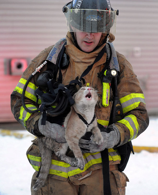 15+ Firefighters Who Risked Their Lives To Save Animals Bored Panda
