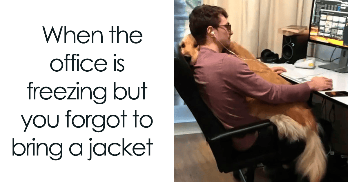 If You’re Freezing In Your Office Then These 29 Memes Are For You