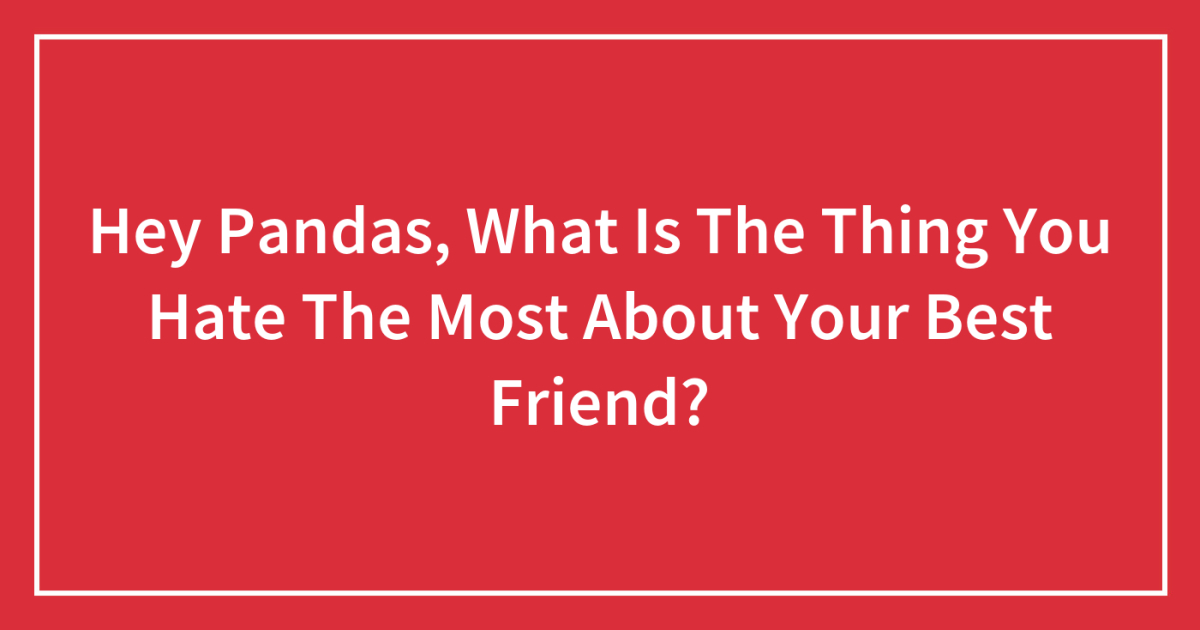 Hey Pandas, What Is The Thing You Hate The Most About Your Best Friend