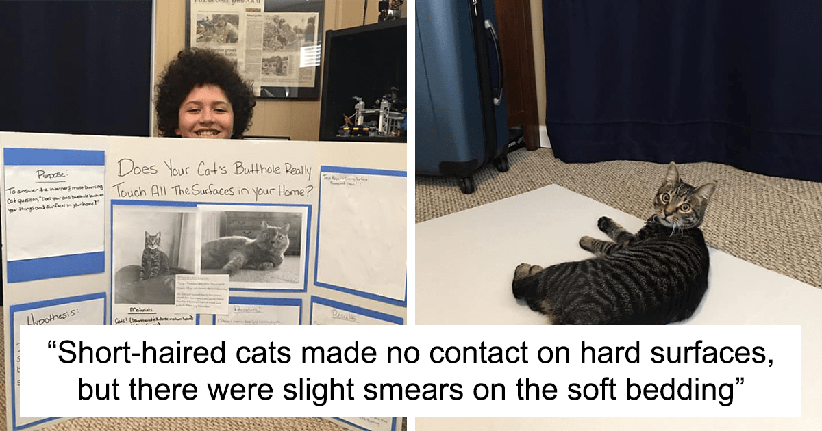 This 6th Grader Wanted To See How Many Surfaces Your Cat's Butt Touches