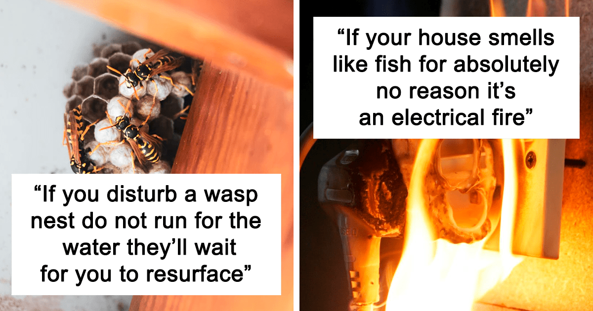 Knowing These 40 Facts Could Save Your Life Bored Panda
