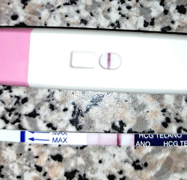 Zwanger, of toch niet? Zwanger worden forum