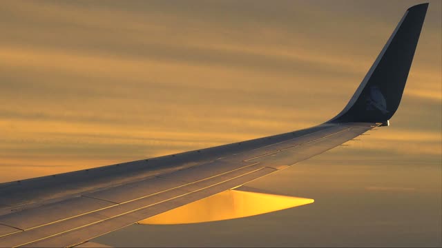 Airplane Wing v2 adult swim bumps