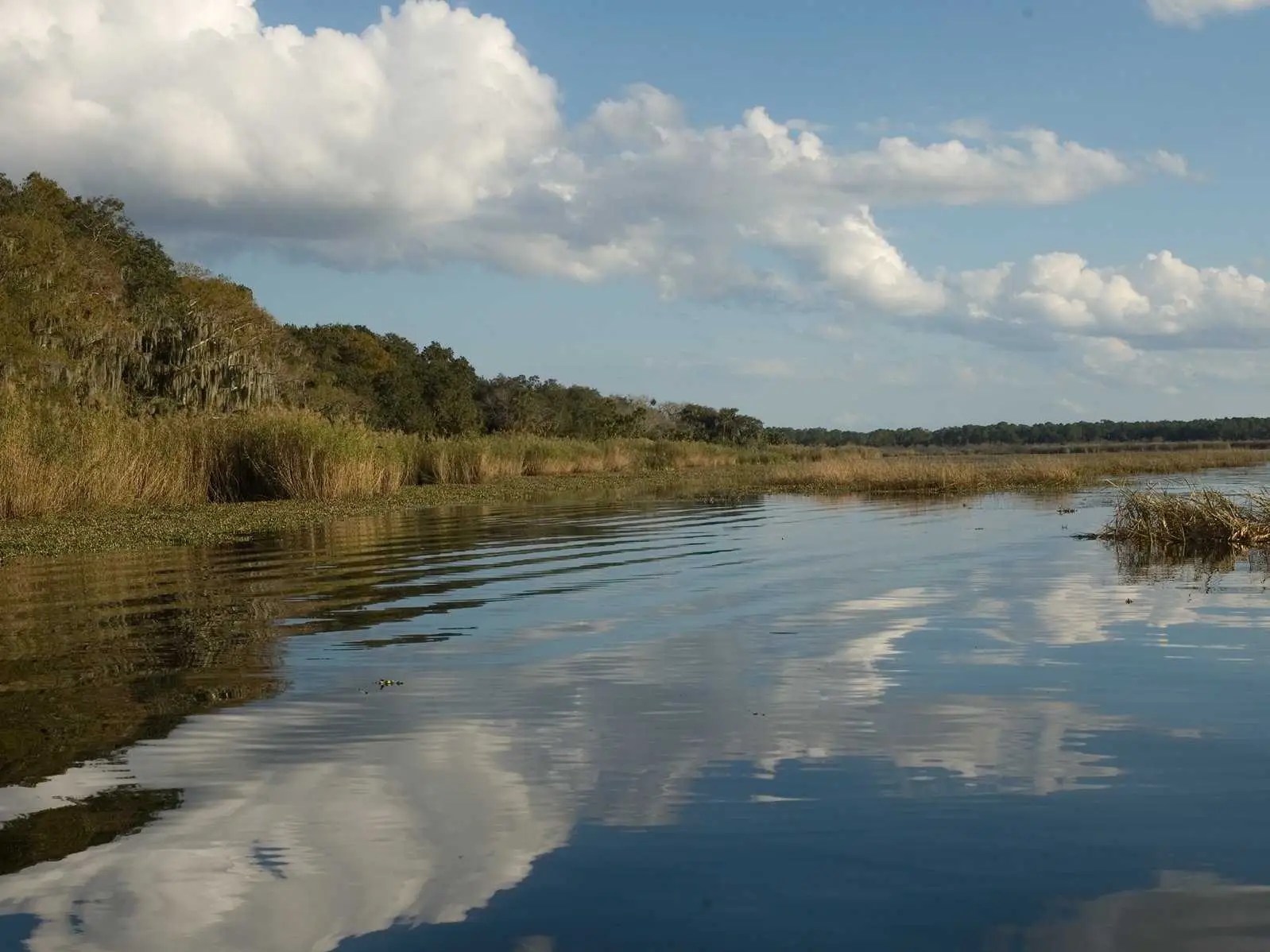 Florida Man Tries To Pay Water Bill With Cocaine Business Insider