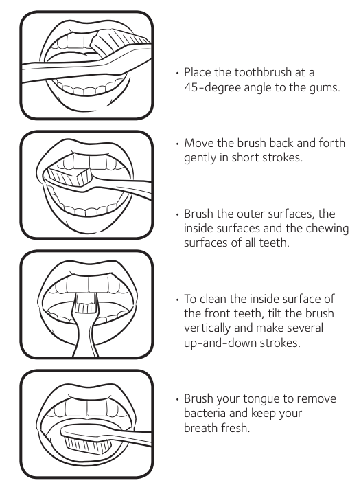 What's The Best Way To Brush Your Teeth? Business Insider